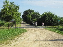 Judy Geisler; Dan Dorrough; Ruth Bennett McDougal Dorrough; IAT; Montrose Segment, WI